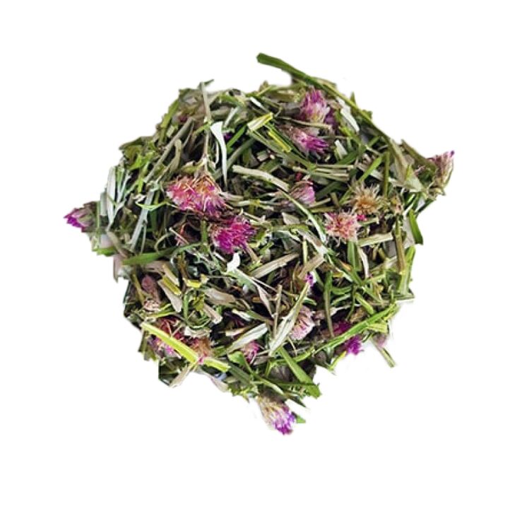 Salicaria Saussurea-Extrakt in NEOflorax-Kapseln